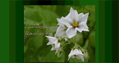 Desktop Screenshot of landscapingrevolution.com