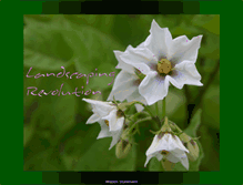 Tablet Screenshot of landscapingrevolution.com